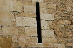 IMG_0019