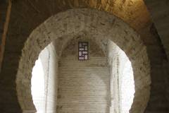 IMG_6519