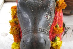IMG_1830