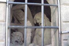 IMG_8418