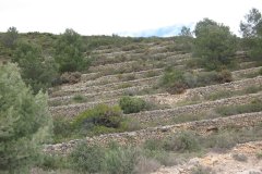 IMG_0047