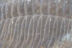IMG_0162