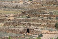 IMG_0354