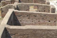 IMG_0961