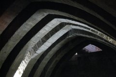 IMG_3116