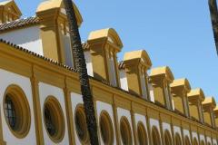 IMG_6509