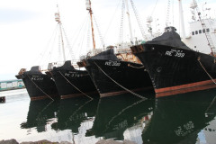 Islandia-1-600