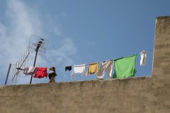 IMG_2763