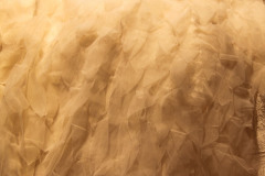 abril2011-174