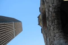 IMG_1618