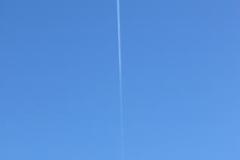 IMG_0595