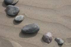 IMG_4701