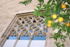 Ginebra-020