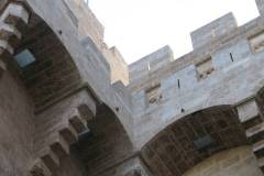 IMG_0192