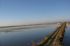 IMG_0251